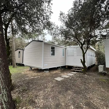 4 Etoiles - Piscine - Ccafgbh *