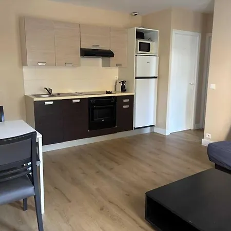 4 Etoiles - Piscine - Ccafgbh * Сент-Илер-де-Рье