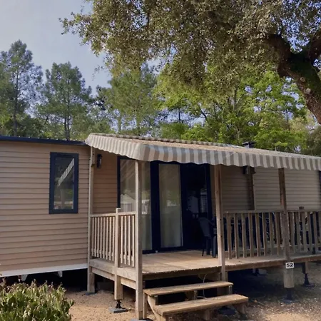 4 Etoiles - Piscine - Ccafgbh Сент-Илер-де-Рье